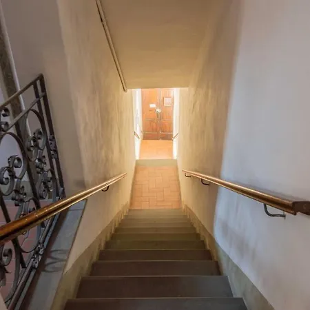 Windrose Oleander's *