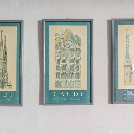 Windrose Oleander's Pisa